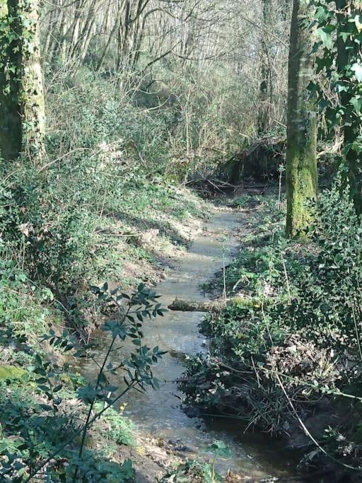 Location meublée au milieu d'un écrin de verdure Aux vieux fours Noaillac Extérieur photo