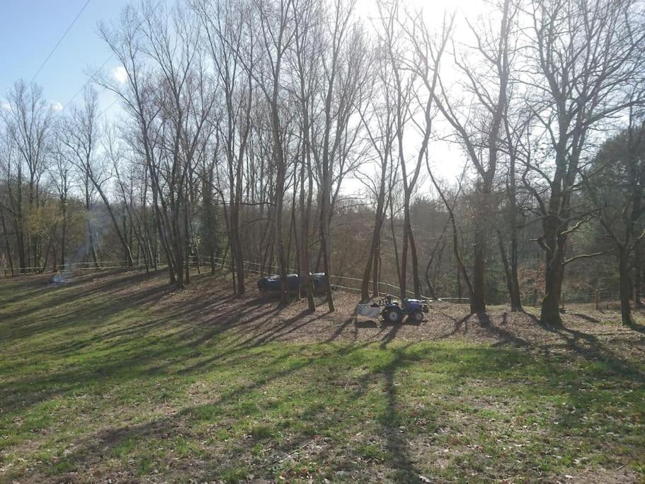 Location meublée au milieu d'un écrin de verdure Aux vieux fours Noaillac Extérieur photo