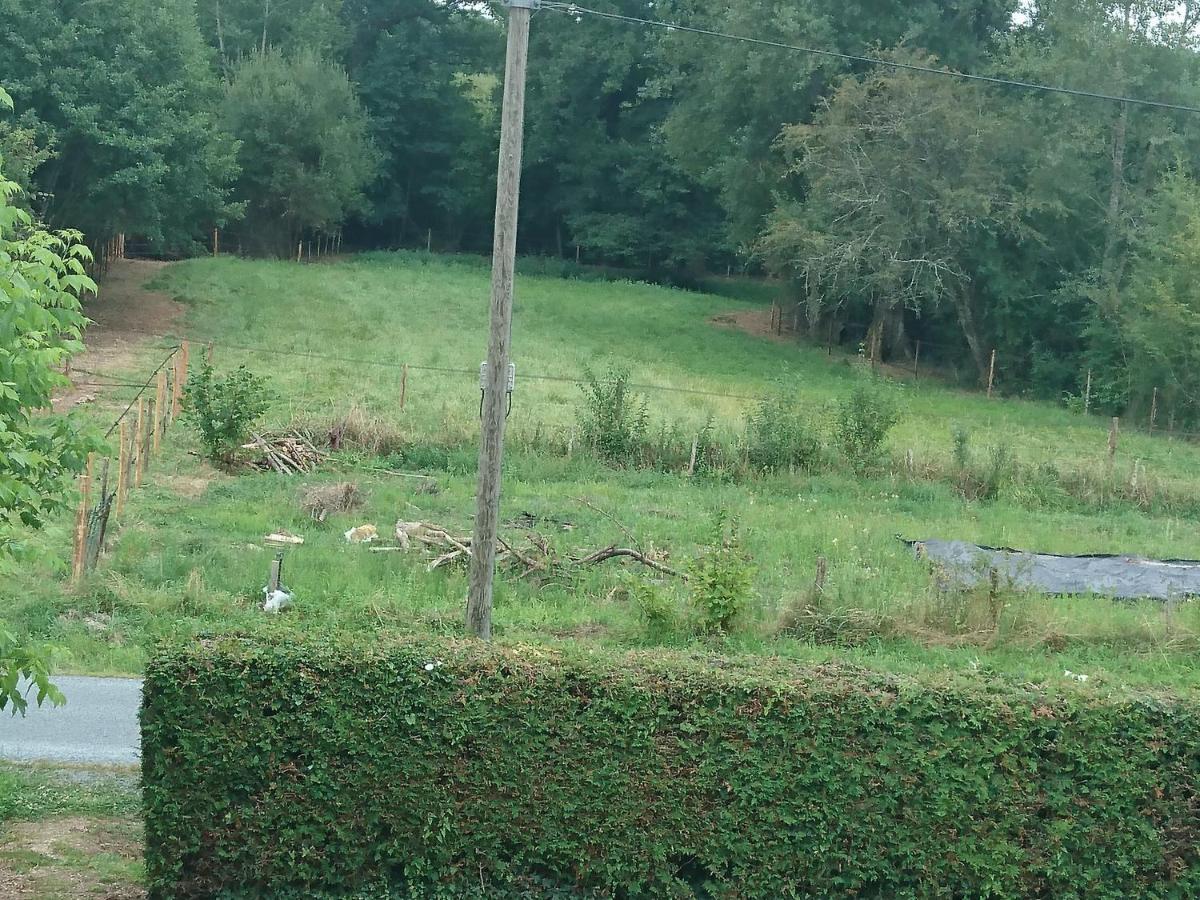 Location meublée au milieu d'un écrin de verdure Aux vieux fours Noaillac Extérieur photo